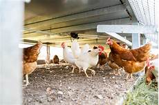 Chicken Trailer